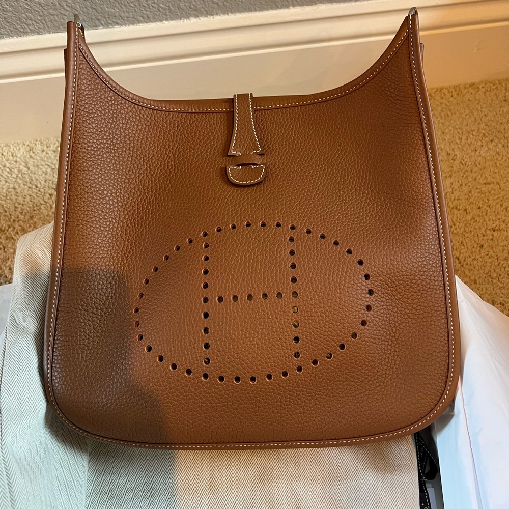 Evelyne III PM Brown Leather Shoulder Bag - Picture 1 of 10